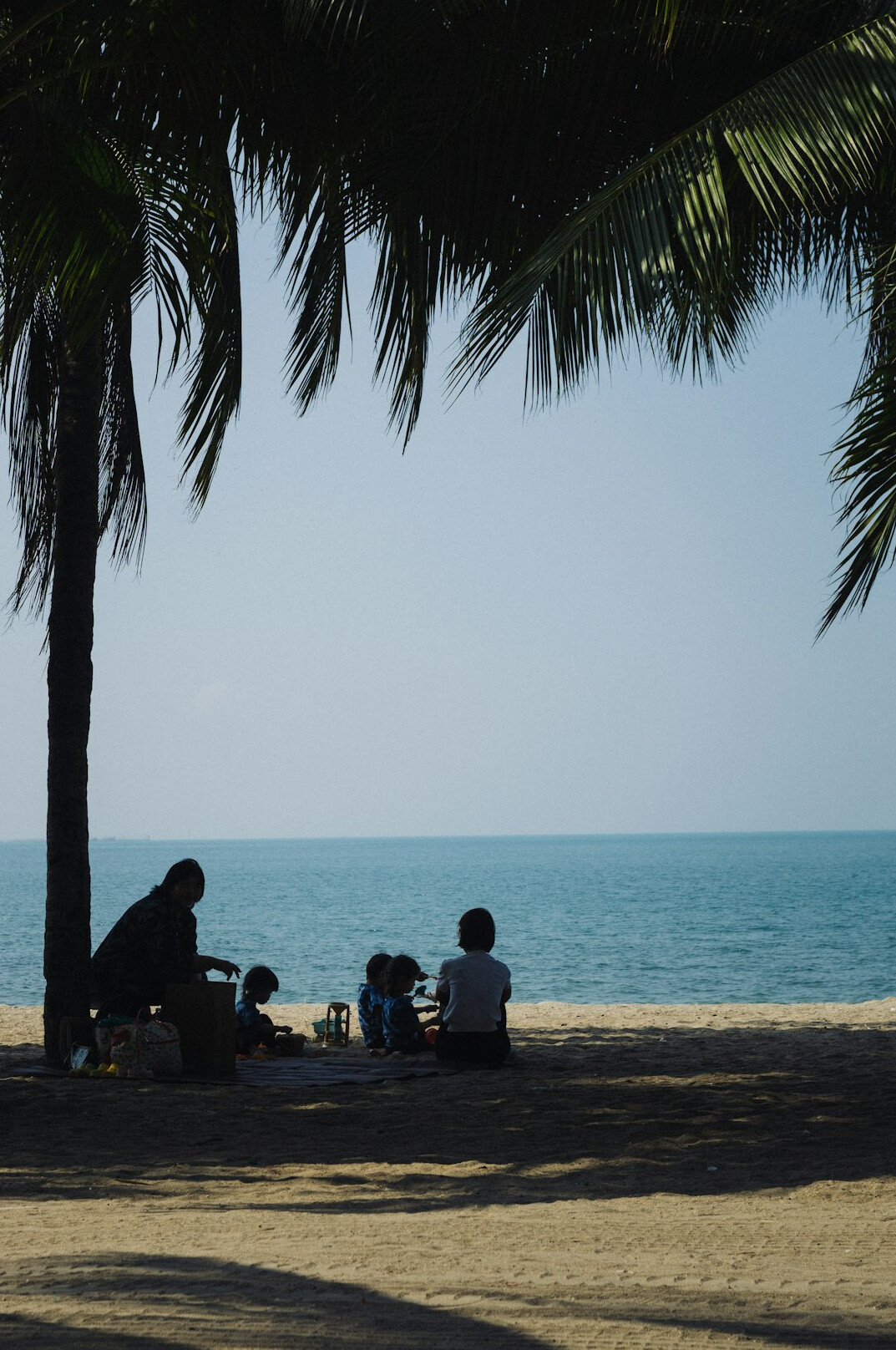 family beach picnic